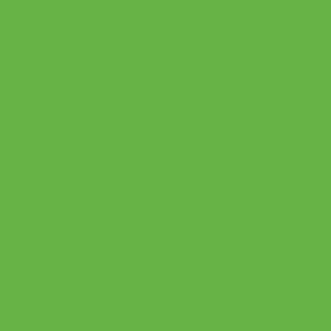 Lime_Green.png